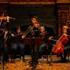 Violins_of_Hope_Review_header.jpg