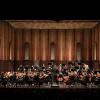 Music Academy Festival Orchestra