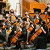YPSO cellos