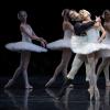 SF Ballet - "Swan Lake"
