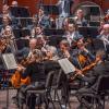 San Antonio Symphony musicians