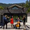 String players