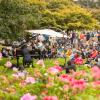 Flower Piano
