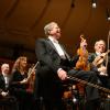 First violin section
