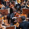 SF Symphony Youth Orchestra
