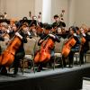 YPSO cello section