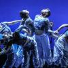 Backhausdance