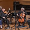 New Hollywood String Quartet