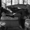 Jean-Yves Thibaudet