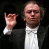gergiev130.jpg
