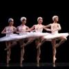 swanlake130.jpg