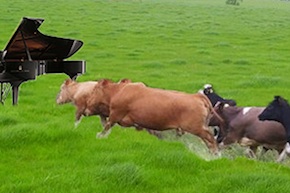 Lou Harrison’s “Stampede” threatens a piano.
