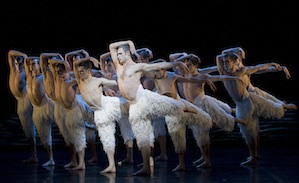 Richard Winsor and the swans of Matthew Bourne Richard Winsor and the swans of Matthew Bourne