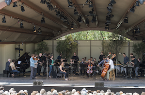The MMDG Music Ensemble, red fish blue fish, The Bad Plus, Thomas Morris, and Yulia Van Doren perform Terry Riley's <em>In C</em> In C