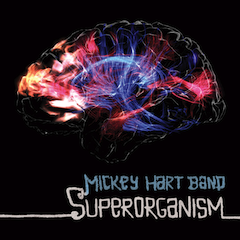 Brainwaves to music