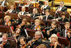 A cross-section of the orchestra