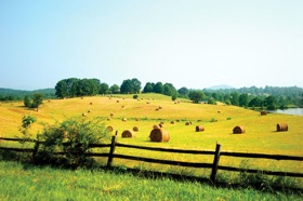 The Castleton estate<br>Photo by Leslie Maazel