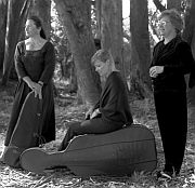 Streicher Trio