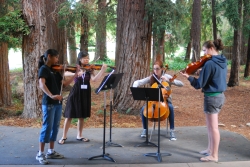 Music@Menlo students rehearsing outdoors Music@Menlo students rehearsing outdoors