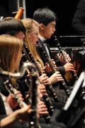 The Napa Valley Youth Symphony The Napa Valley Youth Symphony